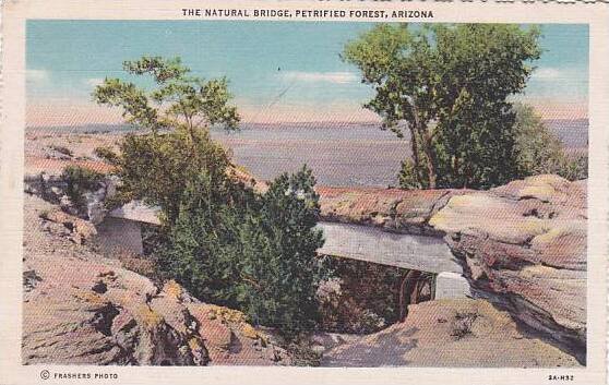 Arizona Petrifield Foret The Natural Bridge
