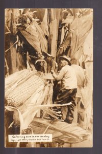 rppc EXAGGERATION 1909 Martin Postcard Co. FARMER CUTTING CORN Stalk HAND SAW