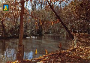 Lago de los Patos - Zaragoza