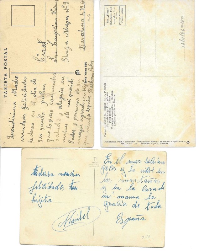 Beautiful flowers Lor of nineteen (29) old vintage PC. Early 20th century