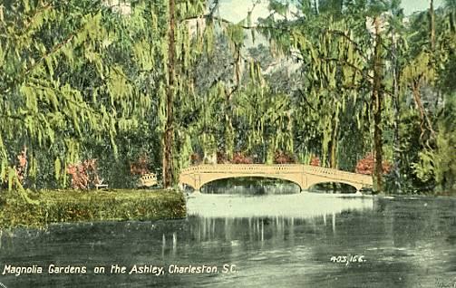 SC - Charleston, Magnolia Gardens on the Ashley River     