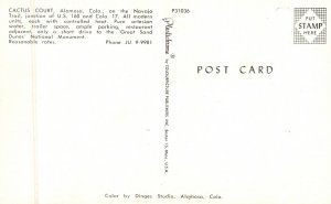 Vintage Postcard Cactus Court Navajo Trail Junction Modern Alamosa Colorado CO