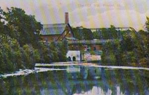 Illinois Pontiac Williams Mill and Nineteenth Century Iron Bridge