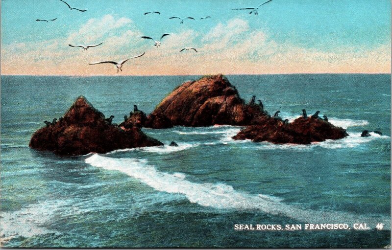 Scenic Seal Rocks San Francisco California DB Seagulls Wildlife Postcard 