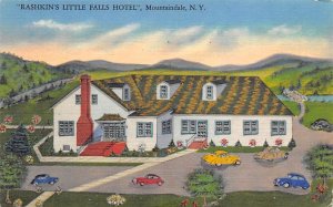 Rashkin's Little Falls Hotel Mountaindale, New York NY  