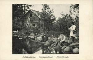 finland russia, VALAMO, Metsämaisema, Skogslandskap (1910s) Postcard