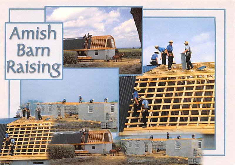 Amish Barn Raising - 