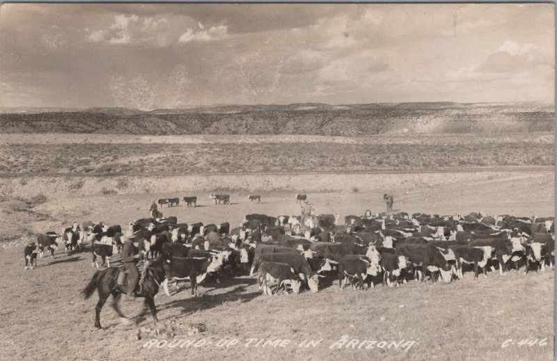 RPPC Postcard Cowboy Herding Cows Round Up Time in Arizona AZ