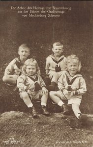 Son from Duke Braunschweig & Sons from Mecklenburg Schwerin Royalty RPPC 06.94