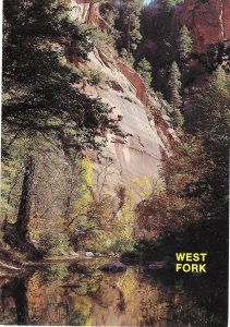 The West Fork Hiking Area in Oak Creek Canyon Sedona Arizona 4 by 6