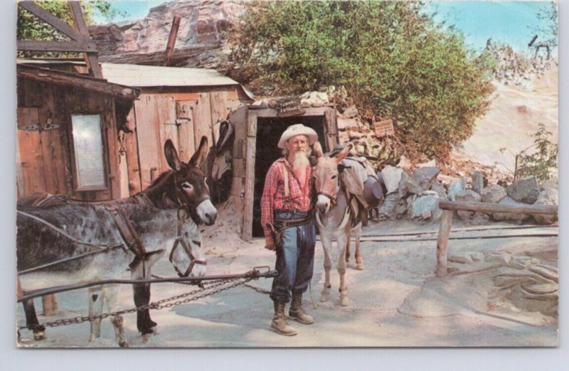 Old Prospector, Knott's Berry Farm & Ghost Town, Buena Park CA, 1966 Postcard