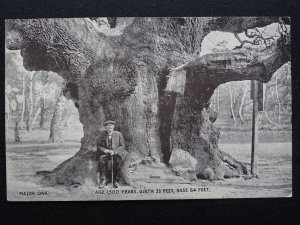 Nottinghamshire SHERWOOD FOREST MAJOR OAK Robin Hood (2) Old Postcard