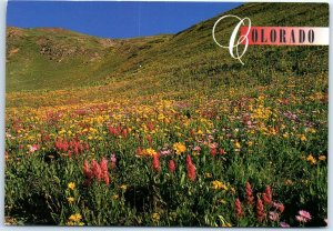 Postcard - Springtime in the Rockies - Colorado