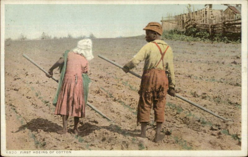 Black Americana Kids Hoeing Cotton Field c1910 Detroit Publishing Postcard