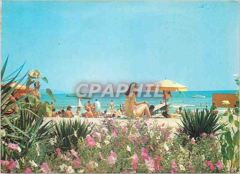 Postcard Modern Sunny Beach to Beach