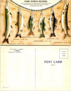 Some World Records The Fishing is Great in Canada Sportsman's Paradise (11698)