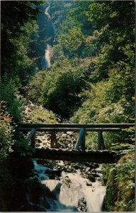 Wahkeenah Falls Columbia River Gorge Oregon Postcard PC351