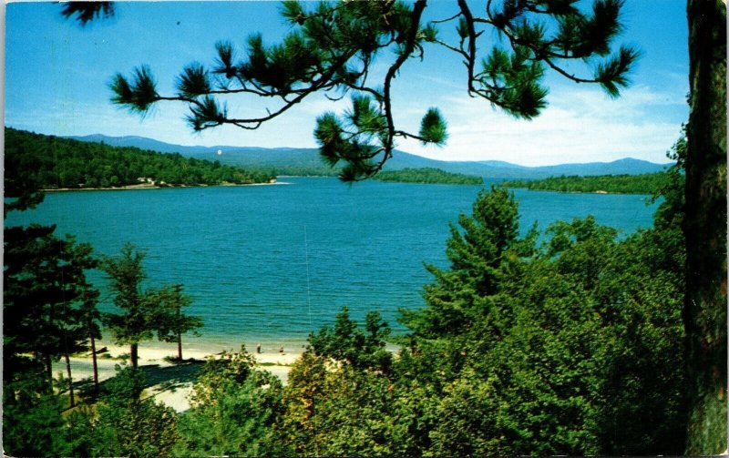 Newfound Lake Cliff Lodges Bristol New Hampshire Scenic Chrome Postcard 