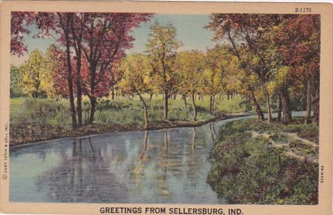 Indiana Greetings From Sellersburg Curteich