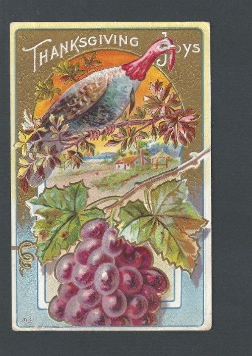 Ca 1908 Post Card  Thanksgiving Joy W/Turkey & Grapes Multi Colored & Embossed