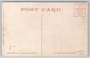 An Apache Chief In Camp Indian Smoking Detroit Pub c1910 Postcard G41