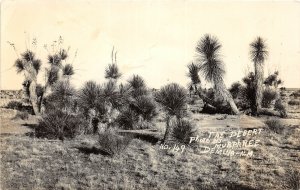 H56/ Deming New Mexico RPPC Postcard c40s The Desert Murphree Image