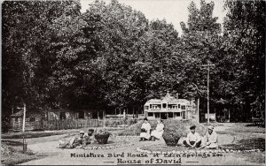 Benton Harbor MI Eden Springs Zoo House of David Bird House Postcard G29