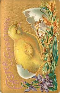 EASTER-LARGE BABY CHICK HATCHING FROM EGG-EARLY-K5647