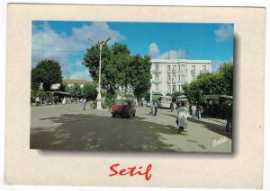 Algeria 2007 Unused Postcard Setif View Street Cars People