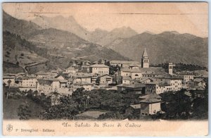c1900s Pieve di Cadore, Belluno, Italy Greeting Birds Eye Collotype Postcard A81