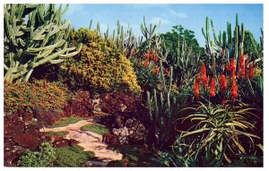 Moirs Pa u a laka Gardens Koloa Kauai Hawaii Postcard