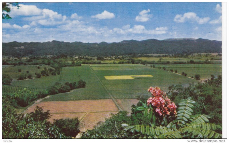 JAMAICA, PU-1966; Sugar Estate