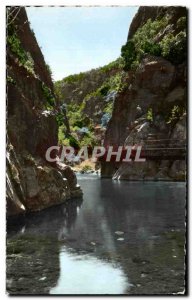 Modern Postcard Amelie Les Bains Les Gorges Du Mandony