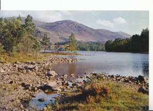 Scotland Postcard - Loch-an-Eilean - Aviemore - Inverness-shire - Ref 6364A