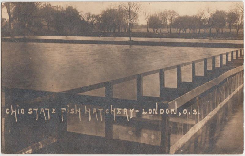 Ohio Real Photo RPPC Postcard 1912 LONDON Ohio State Fish Hatchery Ponds 