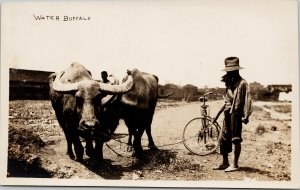 Water Buffalo and Men Bicycle Unknown Location Real Photo Postcard F88