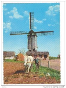 Windmill , 50-70s ; Moulin a Vent , Nertherlands #9