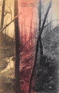 Ravine Upper, Bonaparte Park  Bordentown NJ 