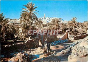 'Modern Postcard Ghardaia M''ZAB'