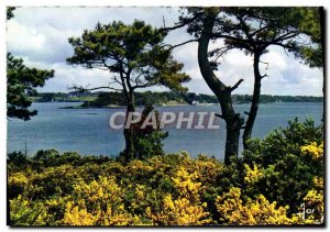 Postcard Modern Brittany Colored L & # 39Ile Aux Moines General Gulf View