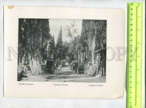 476252 Turkey Constantinople Cemetery of Scutari Vintage poster phototype