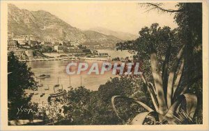 Old Postcard Monte Carlo Principality of Monaco View taken Gardens Monaco