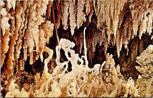 Python's Den, Caverns of Sonora, Cave Sonora Texas Vintage Postcard I17