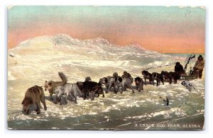 Postcard A Crack Dog Team Alaska c1909