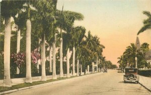 Fort Myers Florida Hotel Royal Palm Albertype hand colored Postcard 21-8050