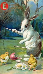 C.1910 Adorable Anthropomorphic Rabbit Colored Eggs Chicks Easter Postcard P165