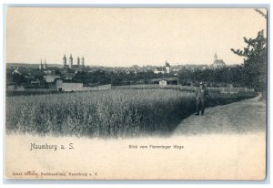 c1905 View from Flemminger Weg Naumburg Saxony-Anhalt Germany Postcard