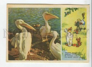 448988 USSR 1955 Pelicans boy Pioneer photographs a dog a fish his hands Izogiz