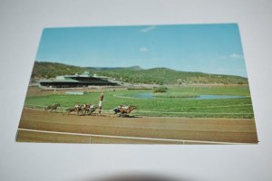 Ruidoso Downs Race Track Ruidoso New Mexico Horse Racing Postcard Dexter