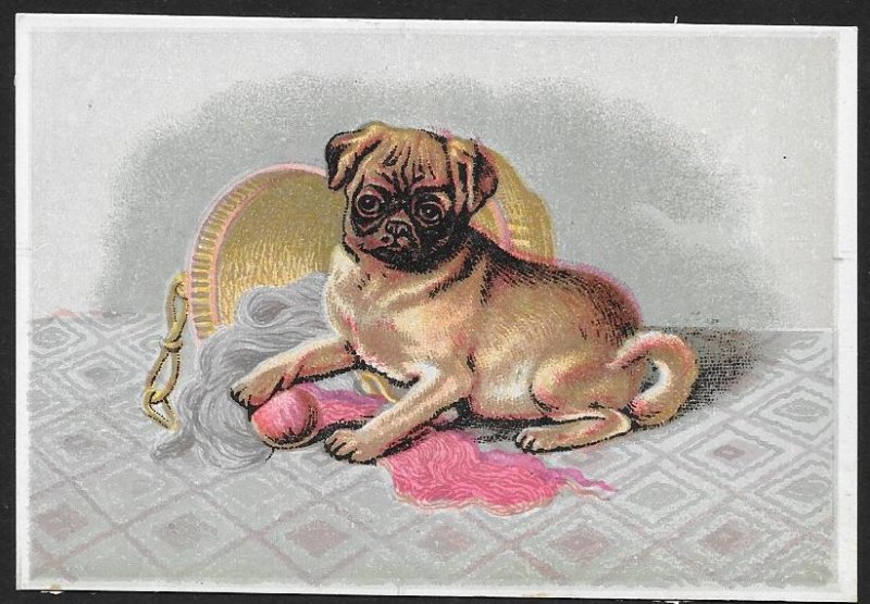 VICTORIAN TRADE CARDS (2) Stock Cards Cute Dogs Playing